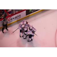 South Carolina Stingrays celebrate a goal