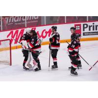 Belleville Senators exchange congratulations following a win