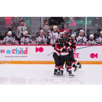 Belleville Senators celebrate a goal