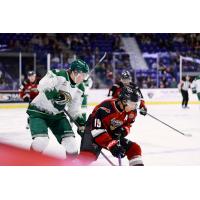 Vancouver Giants right wing Cameron Schmidt (right) vs. the Everett Silvertips