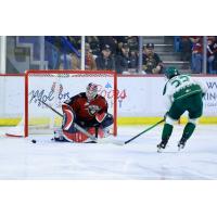 Vancouver Giants goaltender Kelton Pyne vs. the Everett Silvertips