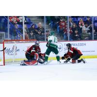 Vancouver Giants goaltender Kelton Pyne and defenceman Ethan Mittelsteadt vs. the Everett Silvertips