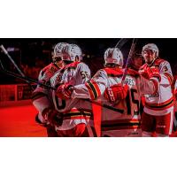 Grand Rapids Griffins gather following a goal