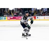 Florida Everblades forward Anthony Romano
