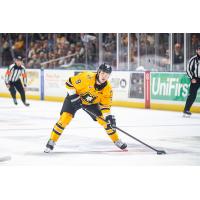 Brooklyn Kalmikov of the Maine Mariners