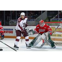 Peterborough Petes right wing Matthew Soto vs. the Oshawa Generals