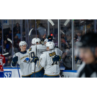 Springfield Thunderbirds celebrate a goal