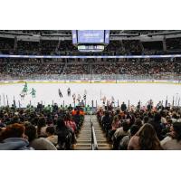 Greenville Swamp Rabbits host a record crowd at Bon Secours Wellness Arena