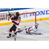 Jamieson Rees of the Belleville Senators scores against the Rochester Americans
