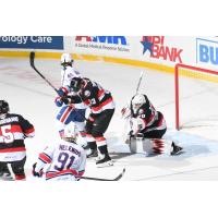 Belleville Senators goaltender Hunter Shepard vs. the Rochester Americans