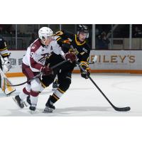 Peterborough Petes centre Braydon McCallum (left) vs. the Sarnia Sting