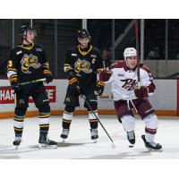 Peterborough Petes centre Colin Fitzgerald reacts after his goal against the Sarnia Sting