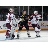 Peterborough Petes goaltender Easton Rye and centre Colin Fitzgerald vs. the Sarnia Sting