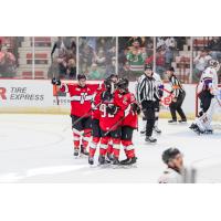Adirondack Thunder celebrate against the Reading Royals
