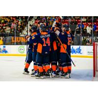 Flint Firebirds gather after beating the Brantford Bulldogs in overtime