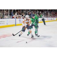 Greenville Swamp Rabbits forward Cam Hausinger vs. the Florida Everblades