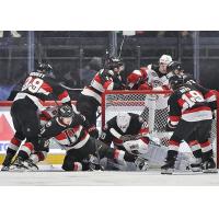 Belleville Senators on game night