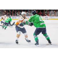 Florida Everblades defenseman Sean Allen (right) vs. the Greenville Swamp Rabbits