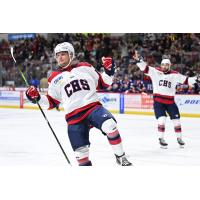 South Carolina Stingrays react after a goal