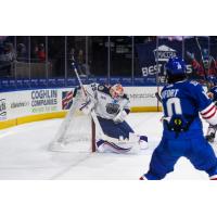 Worcester Railers goaltender Henrik Tikkanen