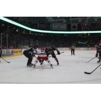 Kitchener Rangers face off with the Guelph Storm