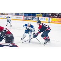 Saginaw Spirit left wing Juraj Rausa (right)