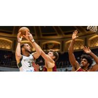 Cleveland Charge contest a shot by the Wisconsin Herd