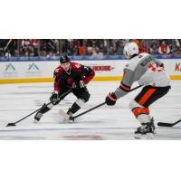 Wichita Thunder's Lucas Vanroboys versus Kansas City Mavericks' Jake McLaughlin