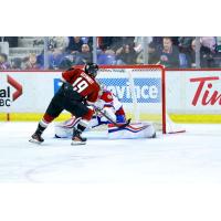 Vancouver Giants' Cameron Schmidt and Edmonton Oil Kings' Ethan Simcoe in action