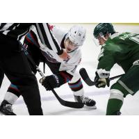 Kelowna Rockets face off with the Everett Silvertips