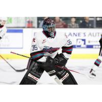 Kelowna Rockets goaltender Josh Banini