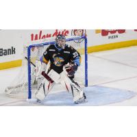 Toledo Walleye goaltender Nolan Lalonde