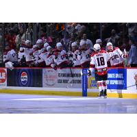 South Carolina Stingrays forward Kyler Kupka along the bench