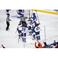 Worcester Railers gather following a goal