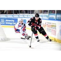 Belleville Senators defenceman Scott Harrington