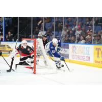 Belleville Senators goaltender Jackson Parsons