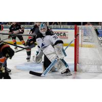 Wichita Thunder goaltender Matt Davis