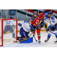 Ottawa Charge forward Brianne Jenner looks for a shot against the Toronto Sceptres
