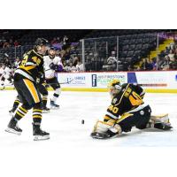 Wheeling Nailers goaltender Maxim Pavlenko stops a Reading Royals shot