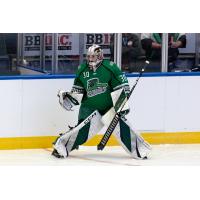 Florida Everblades goaltender David Tendeck