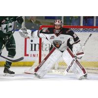 Goaltender David Tendeck with the Vancouver Giants