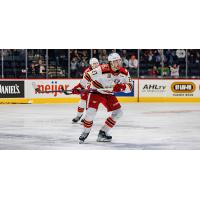 Grand Rapids Griffins forward Nolan Moyle
