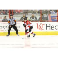 Adirondack Thunder forward Ben Johnson