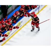 Grand Rapids Griffins center Ondrej Becher receives congratulations along the bench