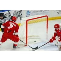 Allen Americans surrender a goal to the Idaho Steelheads