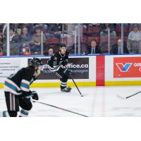 Kelowna Rockets centre Hayden Paupanekis