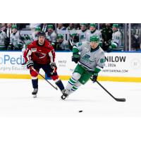 Florida Everblades forward Logan Will (right) vs. the South Carolina Stingrays