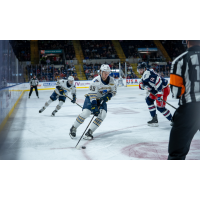 Springfield Thunderbirds defenseman Hunter Skinner