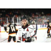 Adirondack Thunder forward Justin Taylor