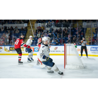 Springfield Thunderbirds defenseman Leo Lööf reacts after his goal